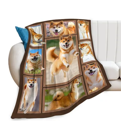 Shiba Inu Photo Collage Blanket: Joyful Dog Moments in a Frame Grid