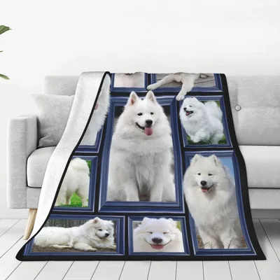 Samoyed Dog Photo Collage Blanket No. 2 for Fluffy Dog Lovers
