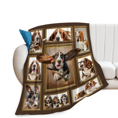 Basset Hounds in Picture Blanket: A Gallery of Long-Eared Fun