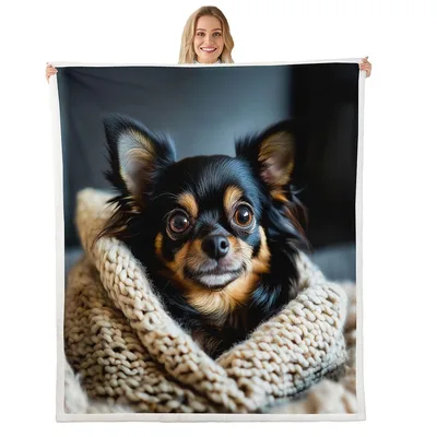 Chihuahua Dog Cozy Photo Blanket: Long-Haired Puppy in Knit Wrap