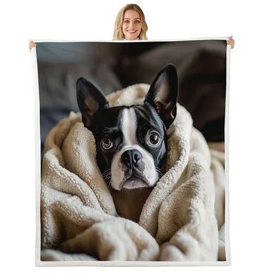 Boston Terrier Dog Cozy Blanket: Real Photo of a Fuzzy Pet