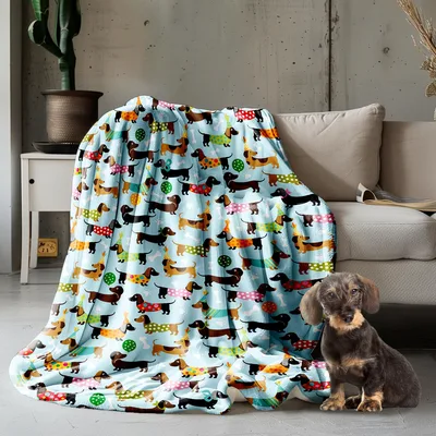 Cute Wiener Dog Pattern Blanket featuring playful dachshunds