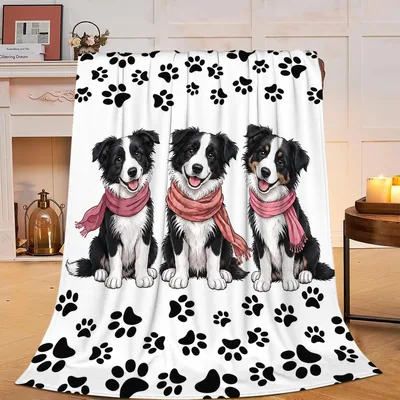 Border Collie Paw Print Blanket: Three Scarfed Dogs