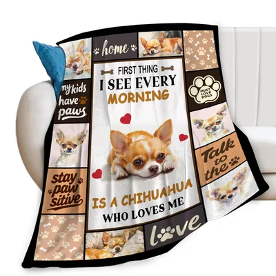 Chihuahua Who Loves Blanket