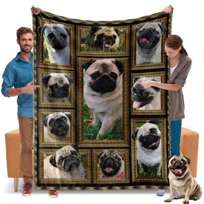 Pugs in Gold Frames Blanket: A Gallery of Wrinkled Faces