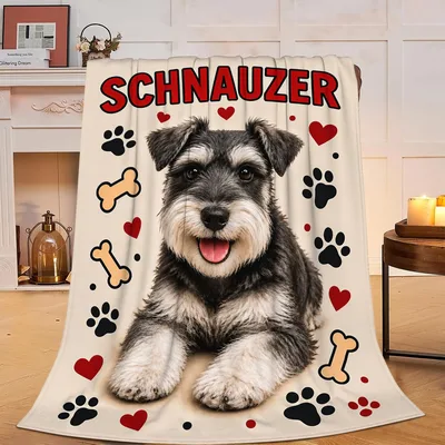 Schnauzer Dog with Paw Blanket