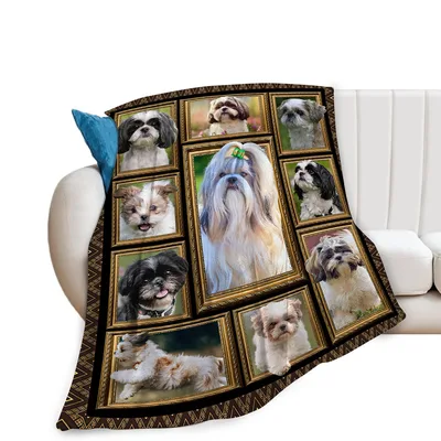 Shih Tzu Dogs Blanket: Framed Portrait Gallery for Canine Lovers