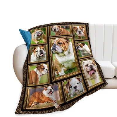 English Bulldogs in Frames Blanket: A Gallery of Wry Canine Portraits