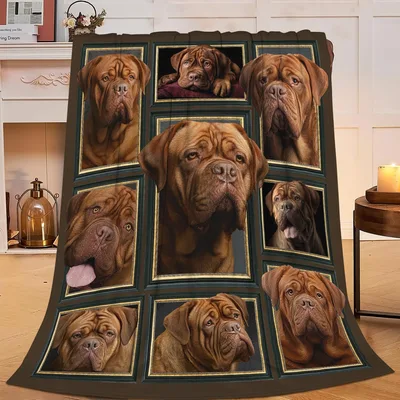 French Mastiff Dogs Photo Blanket: A Collage of Wrinkled Portraits