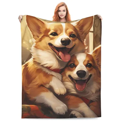 Two Happy Corgi Dogs Blanket