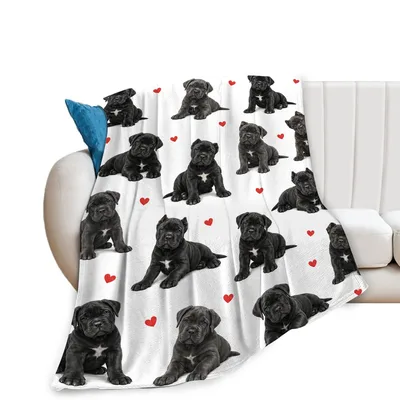 Black French Bulldog Puppies Blanket with Red Hearts