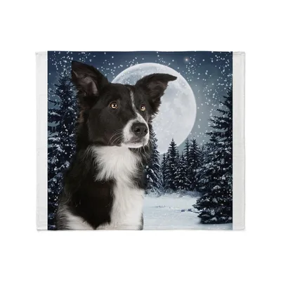 Border Collie Under Full Blanket: Winter Moon Design