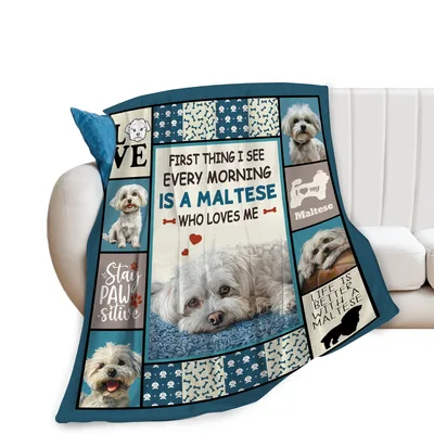 Maltese Who Loves Blanket: Collage Design for Devoted Owners