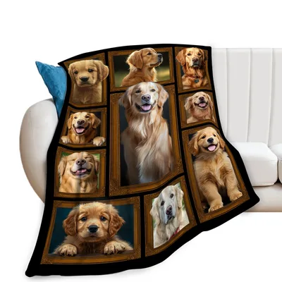 Golden Retriever Photo Collage Blanket: Framed Pups and Smiles