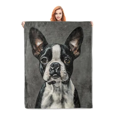Boston Terrier Portrait Blanket: Artistic Black and White Dog Print