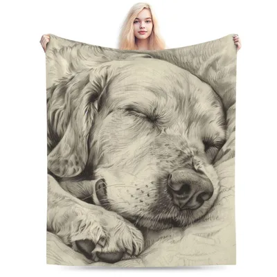 Sleeping Golden Retriever Sketch Blanket