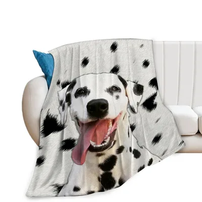 Dalmatian Dog Face Photo Blanket: Happy Spotted Canine Design