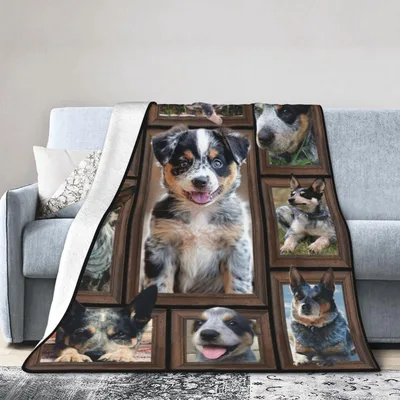 Australian Cattle Dog Puppies Blanket features a photo