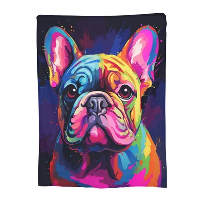 Colorful Pop Art English Blanket