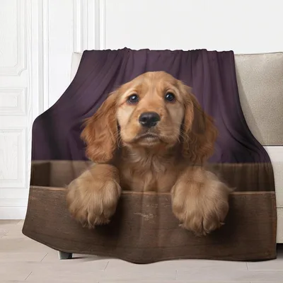 Cocker Spaniel Puppy Photo Blanket