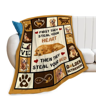 Golden Retriever Steal Blanket