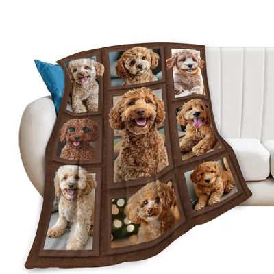 Goldendoodle Photo Collage Blanket: Curly Coat Puppies in Frames