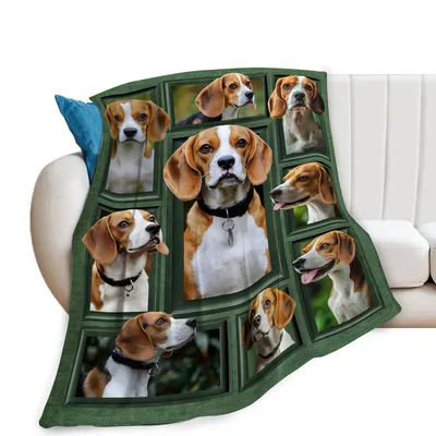 Beagle Dogs Collage Blanket: A Photo Grid of Expressive Hound Faces