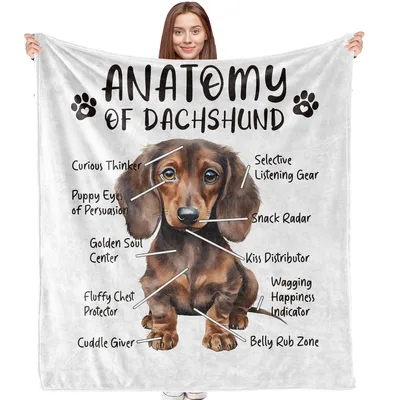 Anatomy of Dachshund Blanket: Humorous Dog Anatomy Print
