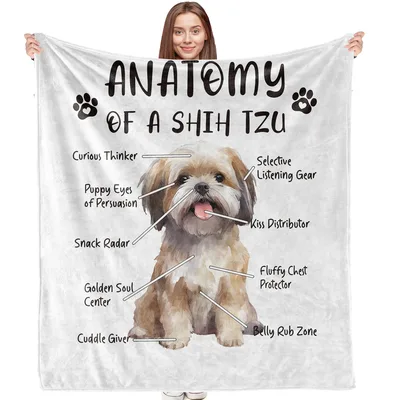 Anatomy of a Shih Blanket: Diagram of a Fluffy Dog