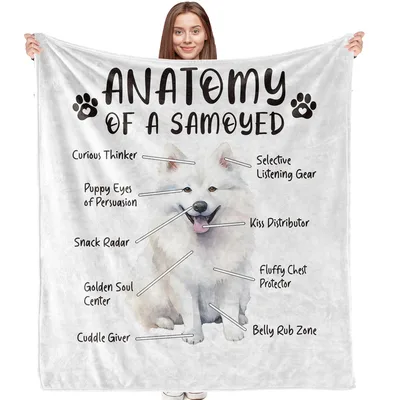 Anatomy of a Samoyed Blanket: Diagram of Fluffy Dog Parts