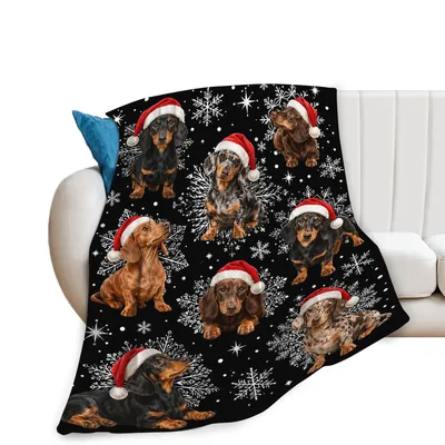 Christmas Dachshunds in Santa Blanket: Festive Wiener Dog Design