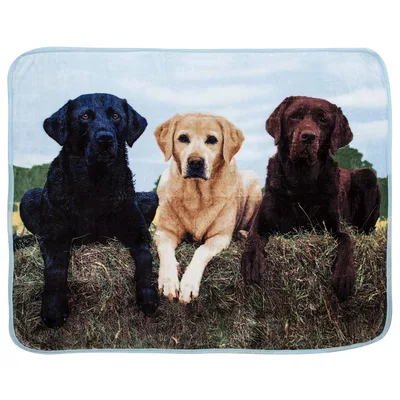 Three Retriever Dogs Blanket: Black, Yellow, and Chocolate Labs on Hay