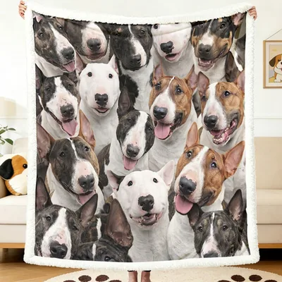 Bull Terrier Faces Pattern Blanket