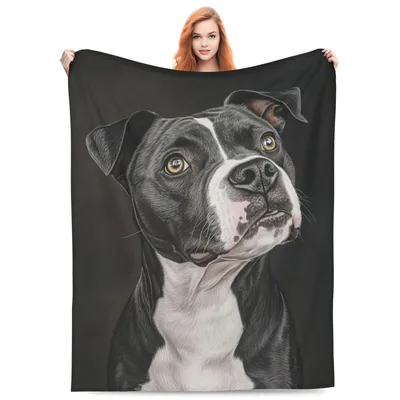 Staffordshire Bull Terrier Portrait Blanket: Realistic Dog Art