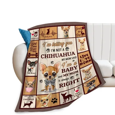 Chihuahua Photos with Funny Blanket: Mom Said I'm a Baby