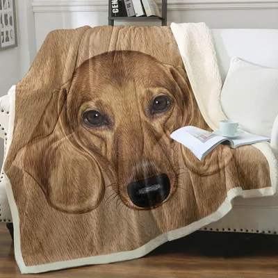 Dachshund Close-Up Portrait Blanket for Dog Lovers