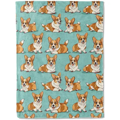 Corgi Dog Pattern Blanket: Happy Pups on Teal Background