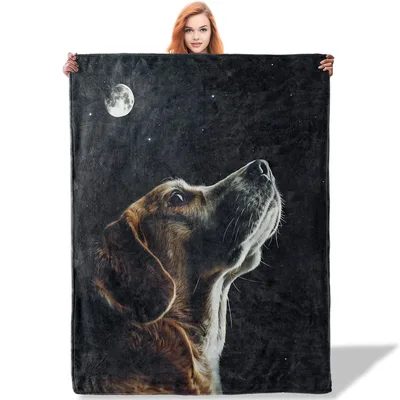 Beagle Dog Moonlight Blanket: A Beagle Gazing at the Stars