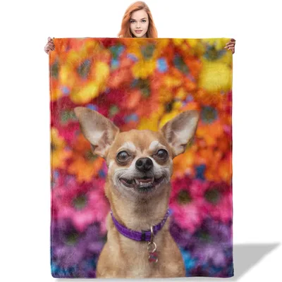 Chihuahua Dog Portrait Blanket: Smiling Canine on Colorful Background