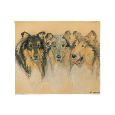Three Collie Dogs Portrait Blanket: Artistic Canine Group