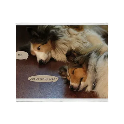 Are We Really Tired Blanket for Collie Lovers
