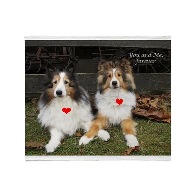 You and Me Forever Blanket: Sheltie Pair with Hearts