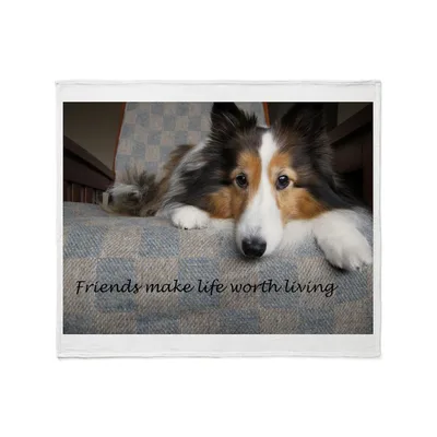 Friends Make Life Worth Blanket Dog Design