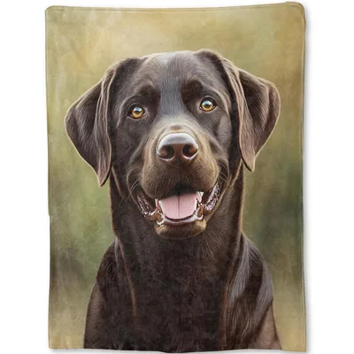 Chocolate Labrador Portrait Blanket No. 2: Realistic Dog Art