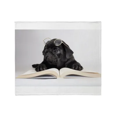 Black Pug Reading Blanket: Intellectual Puppy with Glasses and Book