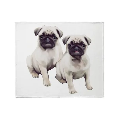 Two Pugs Sitting Blanket: Adorable Canine Pair Design