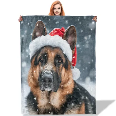 German Shepherd in Santa Blanket: Festive Canine Holiday Design