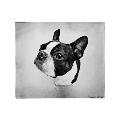 Boston Terrier Photo Blanket: Black and White Dog Portrait Design