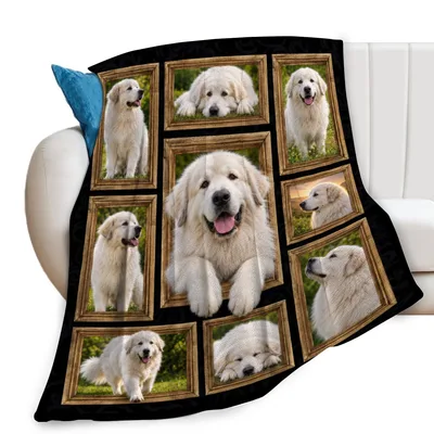 Great Pyrenees Dogs Blanket: A Gallery of Fluffy White Portraits