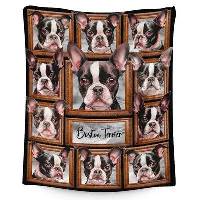 Boston Terrier Photo Frames Blanket